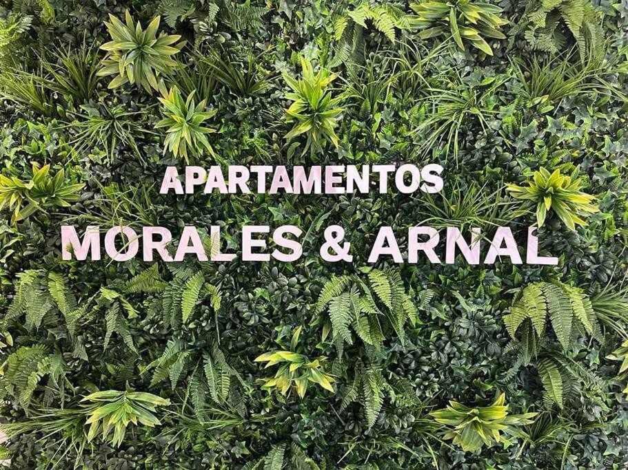 XXI E Apartamentos Morales & Arnal Ronda Bagian luar foto